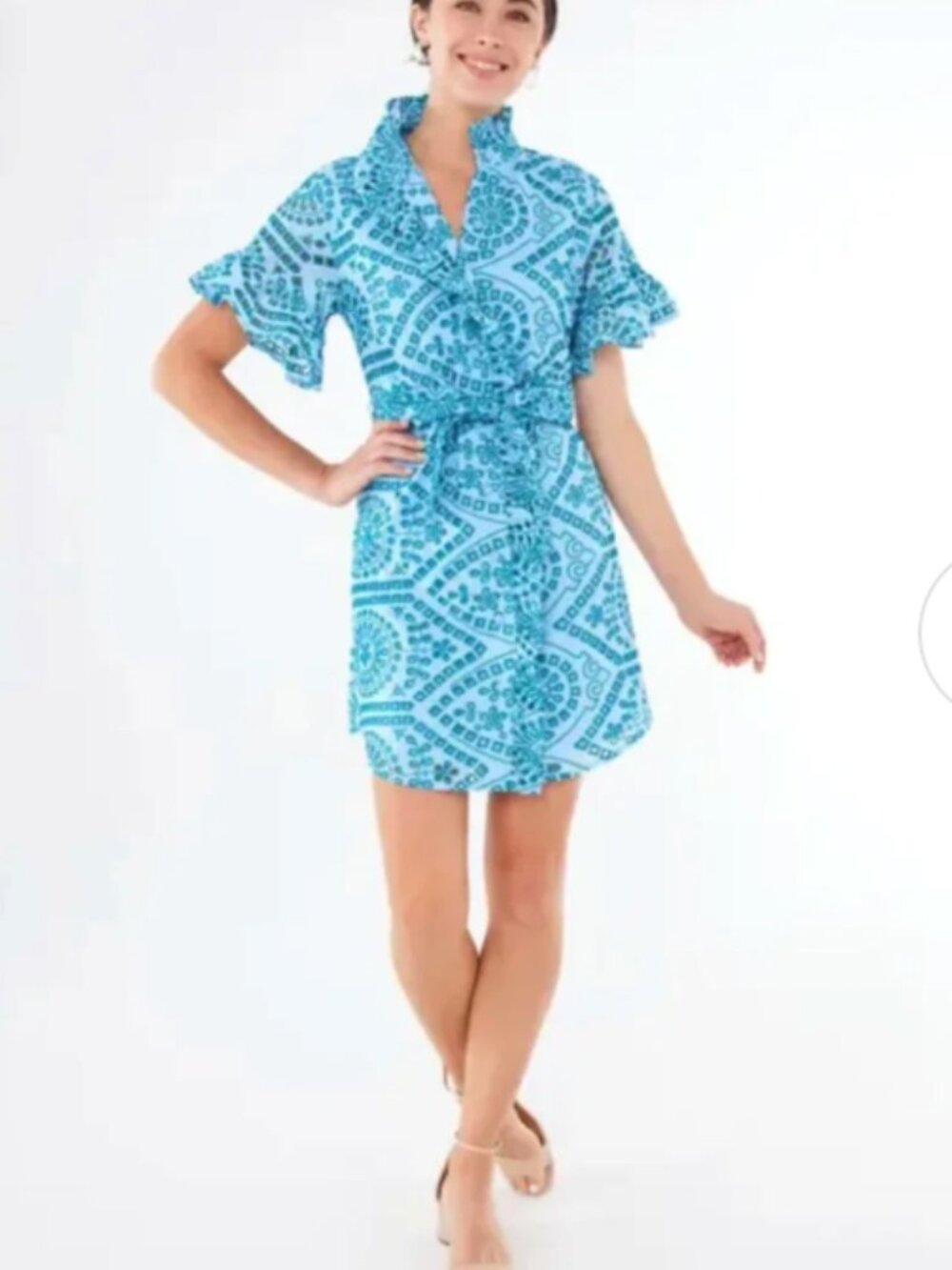 NWT Abbey Glass Katie Dress Eyelet Belted Blue Preppy L Ruffle Shirt Dress